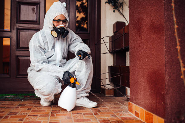 Reliable Bed Bug Control contractor in Sheridan, CO by Nex Pest Control