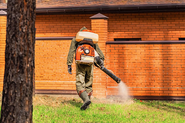 Trusted Termite Control service in Sheridan, CO - Nex Pest Control